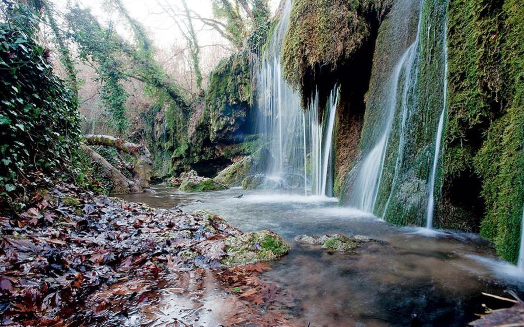 Petradi 酒店 Kalamaki (Thessaly)